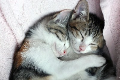 2059567293_edc888dae8_z